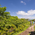 Exploring the Great Outdoors in Northeastern North Carolina