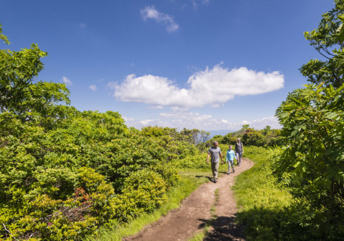 Exploring the Great Outdoors in Northeastern North Carolina